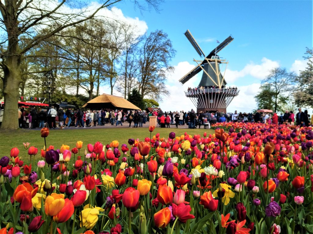 Keukenhof Discovering Amsterdams Tulips Whistlestops
